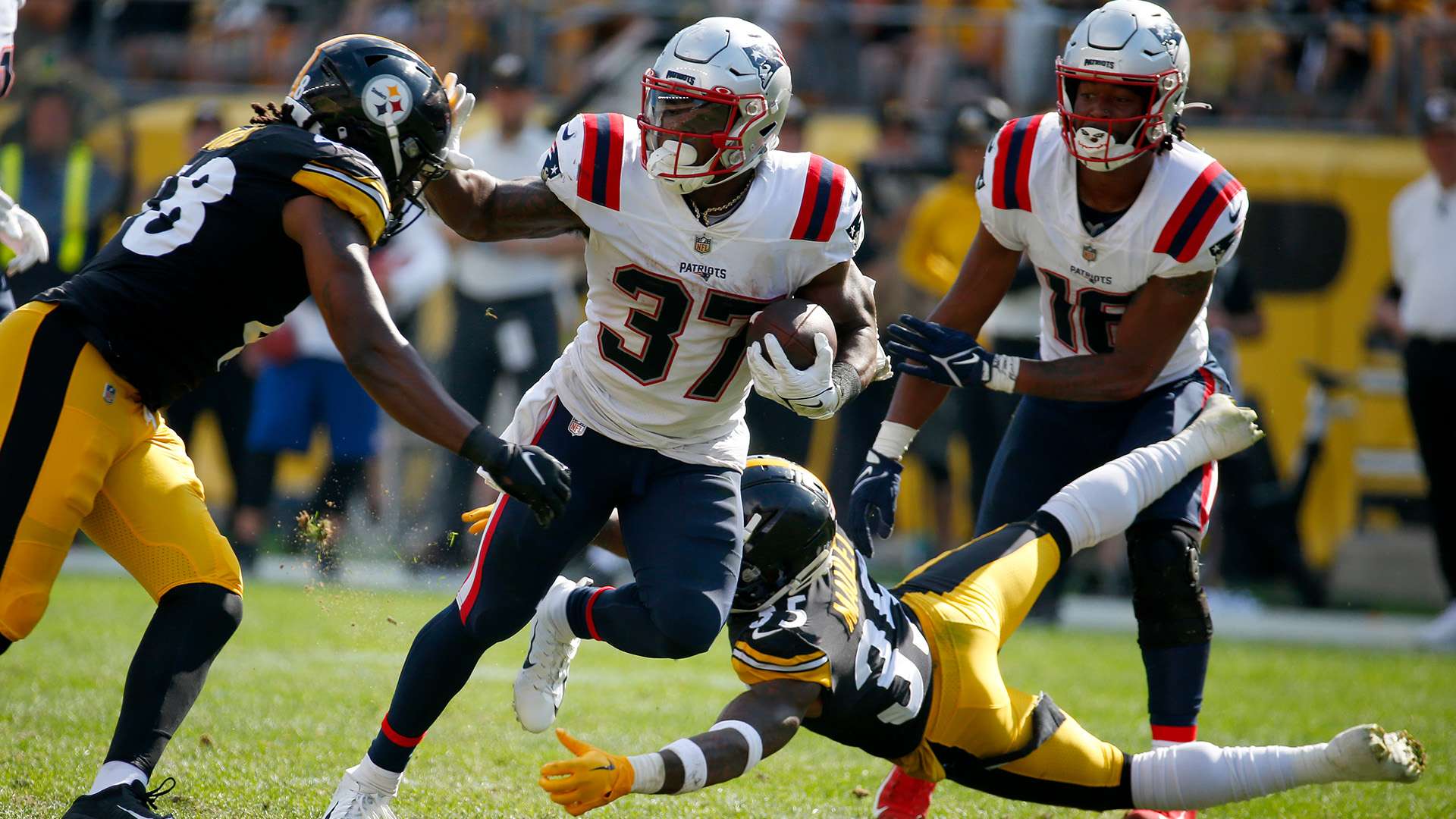 持续成功的 持续成功的