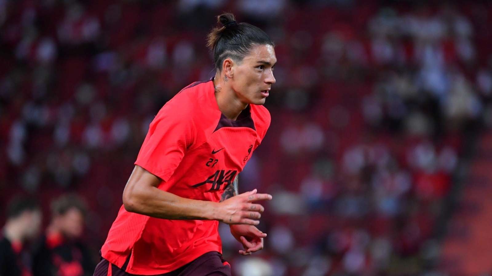 赏到美丽的 赏到美丽的