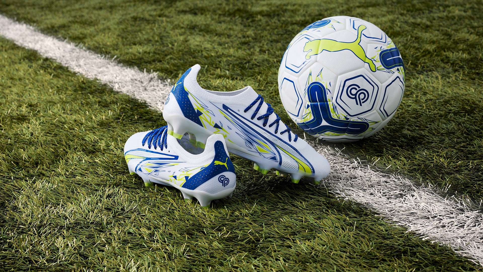 佩德里和法 佩德里和法