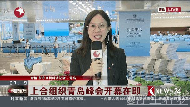 跨国企业看好中国机遇 青岛峰会彰显开放魅力